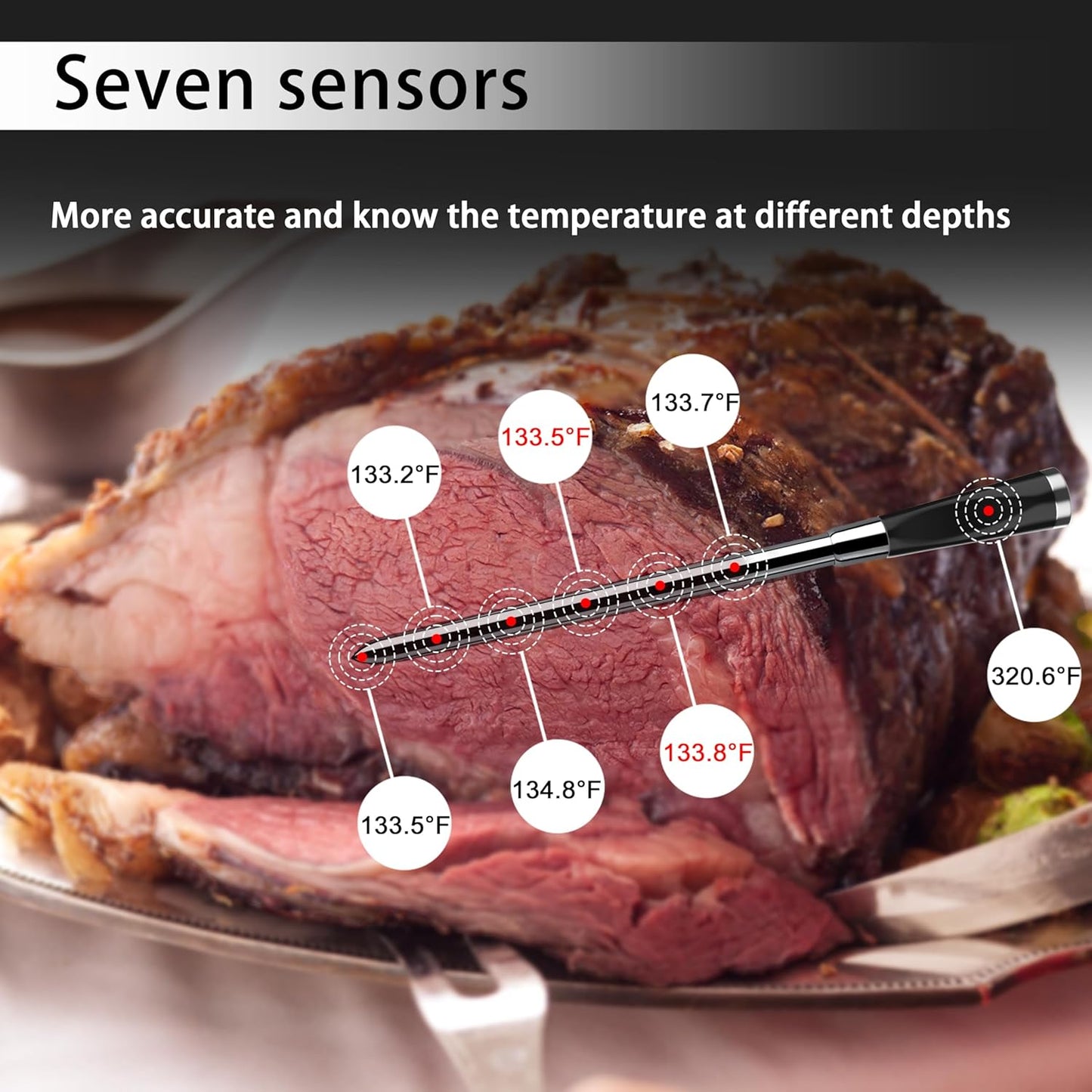 WiFi Wireless Meat Thermometer, Unlimited Range, 7 Sensors, Remote Monitoring for BBQ Grill, Oven, Smoker, Air Fryer(1, Blue, Small)