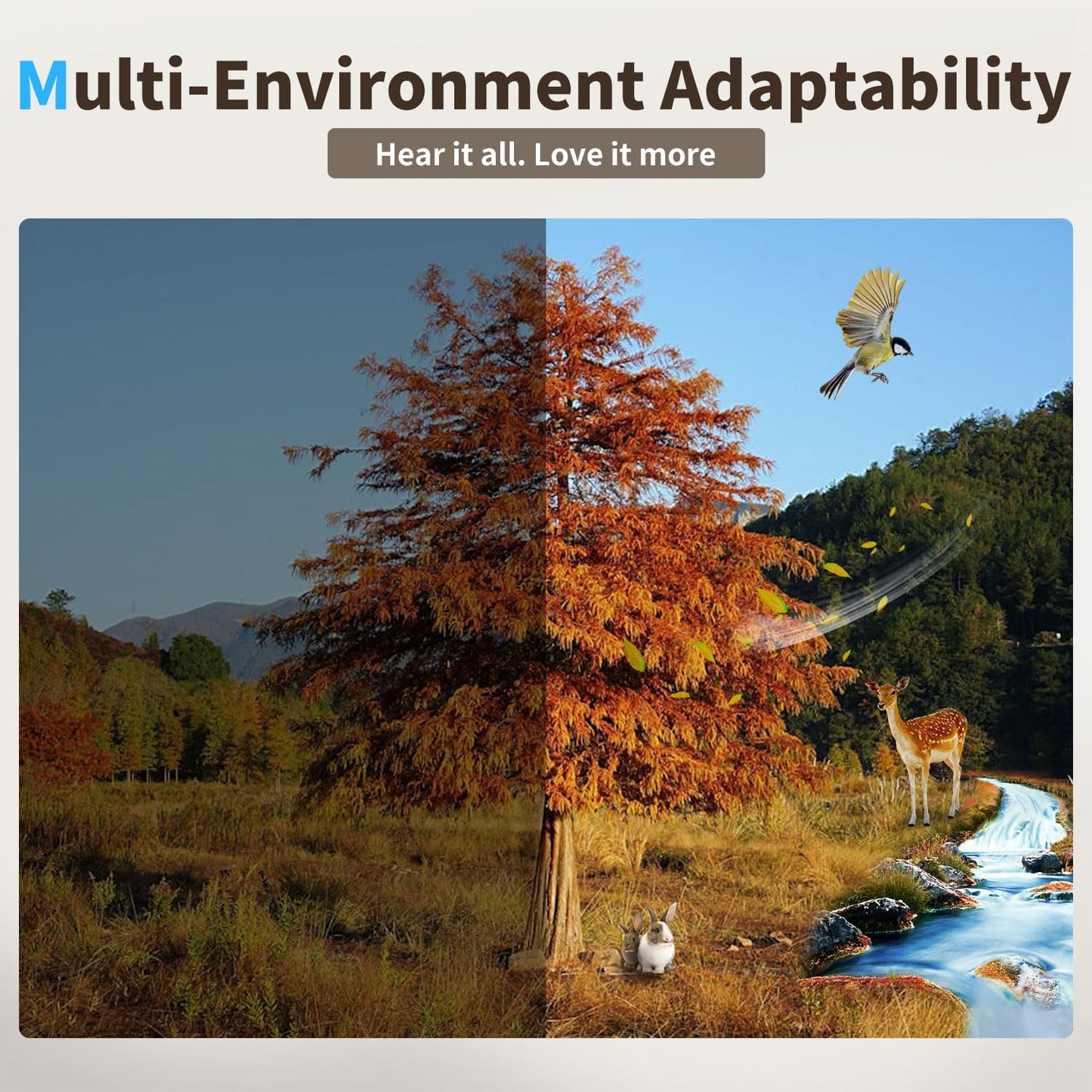 Rechargeable Hearing Aids for Seniors, OTC Digital BTE Hearing Aids, AI Noise Cancellation & Whistle Suppression