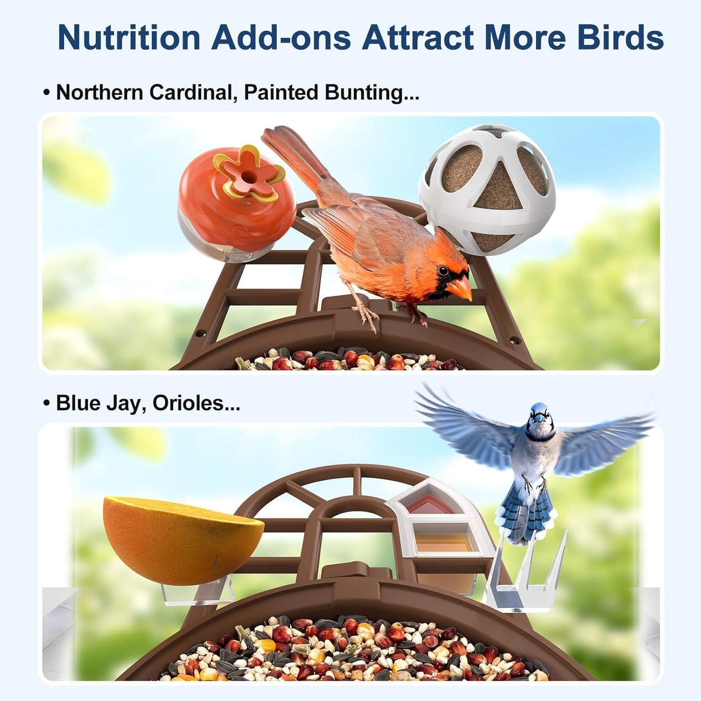 Smart Bird Feeder with Camera, 2K Ultra HD Live Stream, AI Bird ID for 10,000+ Species, 3 Solar Powered, IP65