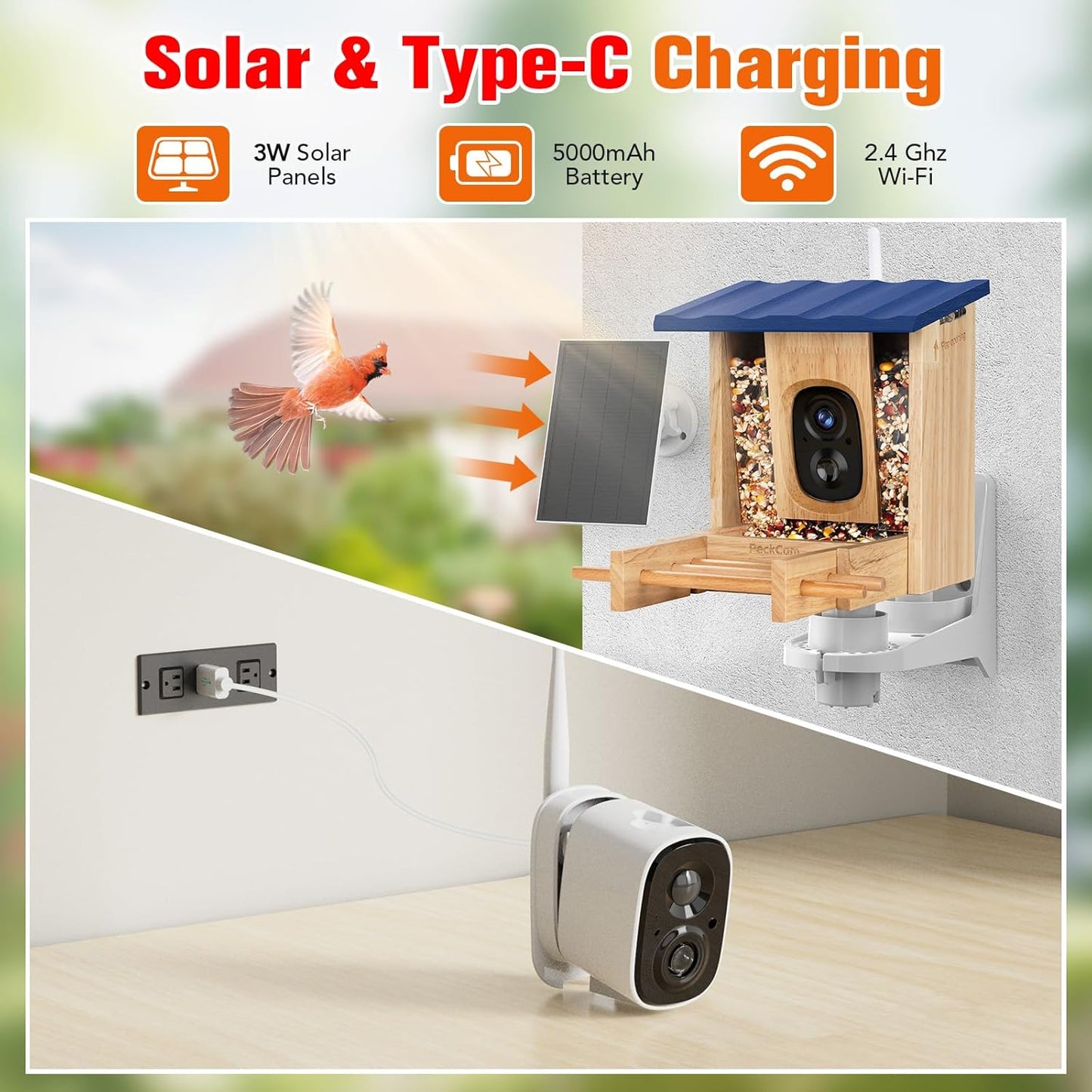 Smart Bird Feeder with Camera 2K HD Auto Detect, Notify AI Identify 10000+ Birds Camera Solar Powered 2.4G Wireless