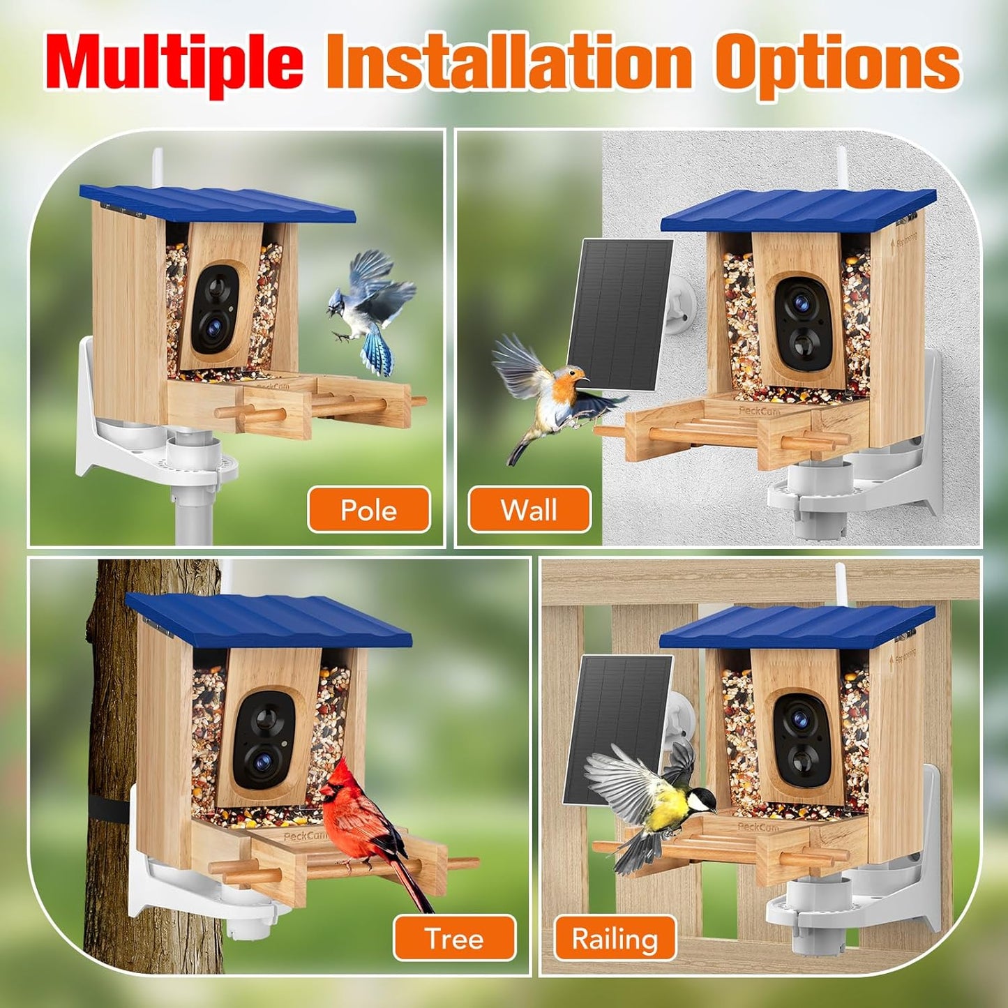 Smart Bird Feeder with Camera 2K HD Auto Detect, Notify AI Identify 10000+ Birds Camera Solar Powered 2.4G Wireless