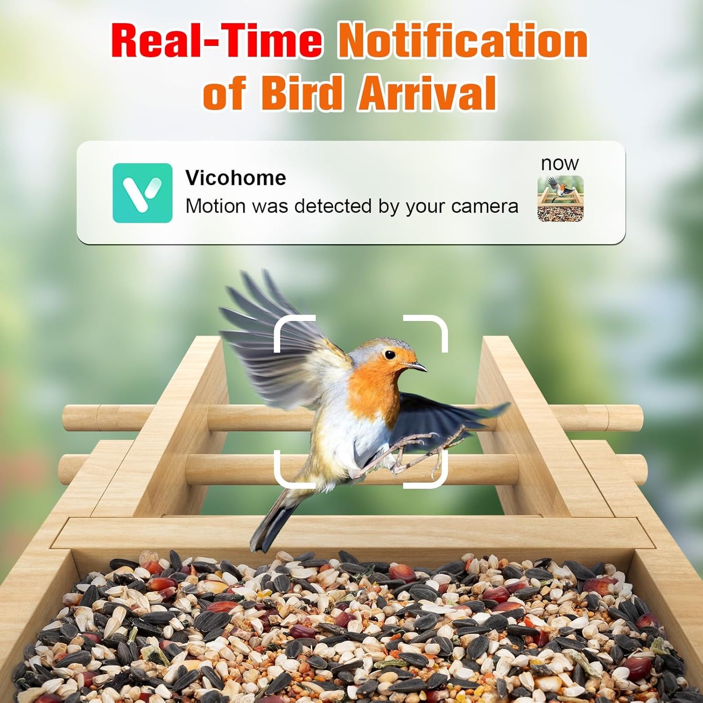 Smart Bird Feeder with Camera 2K HD Auto Detect, Notify AI Identify 10000+ Birds Camera Solar Powered 2.4G Wireless