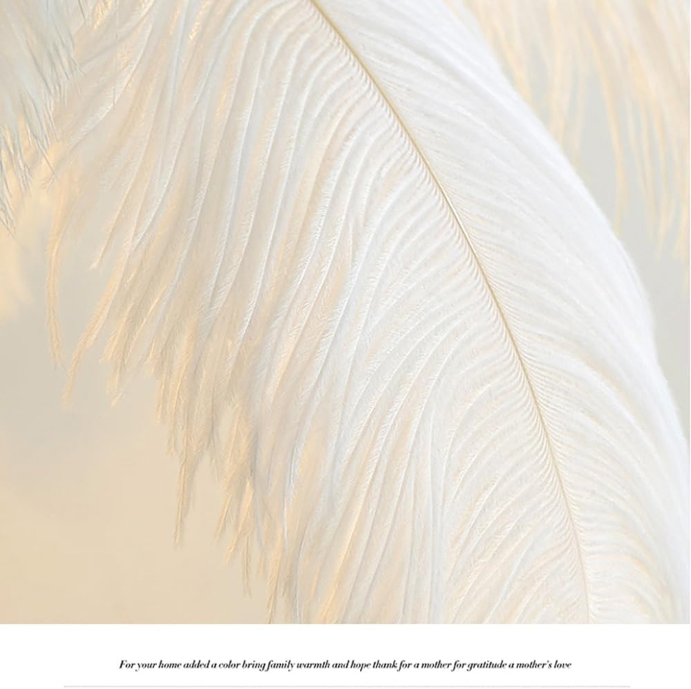 Ostrich Feather Table Lamp with Plug in Wire for Living Room Sofa Bedside Standing Reading Lamp