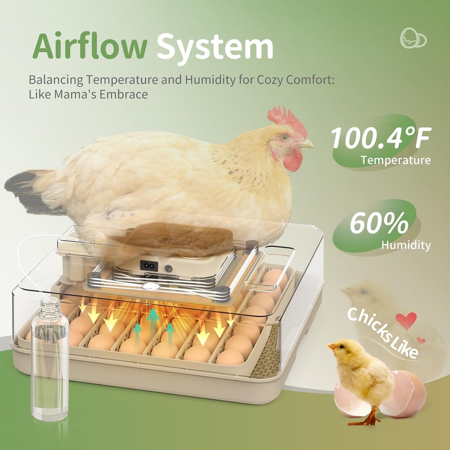 Egg Incubators for Hatching Eggs with Automatic Egg Turning and Humidity Control, Max 48 Eggs