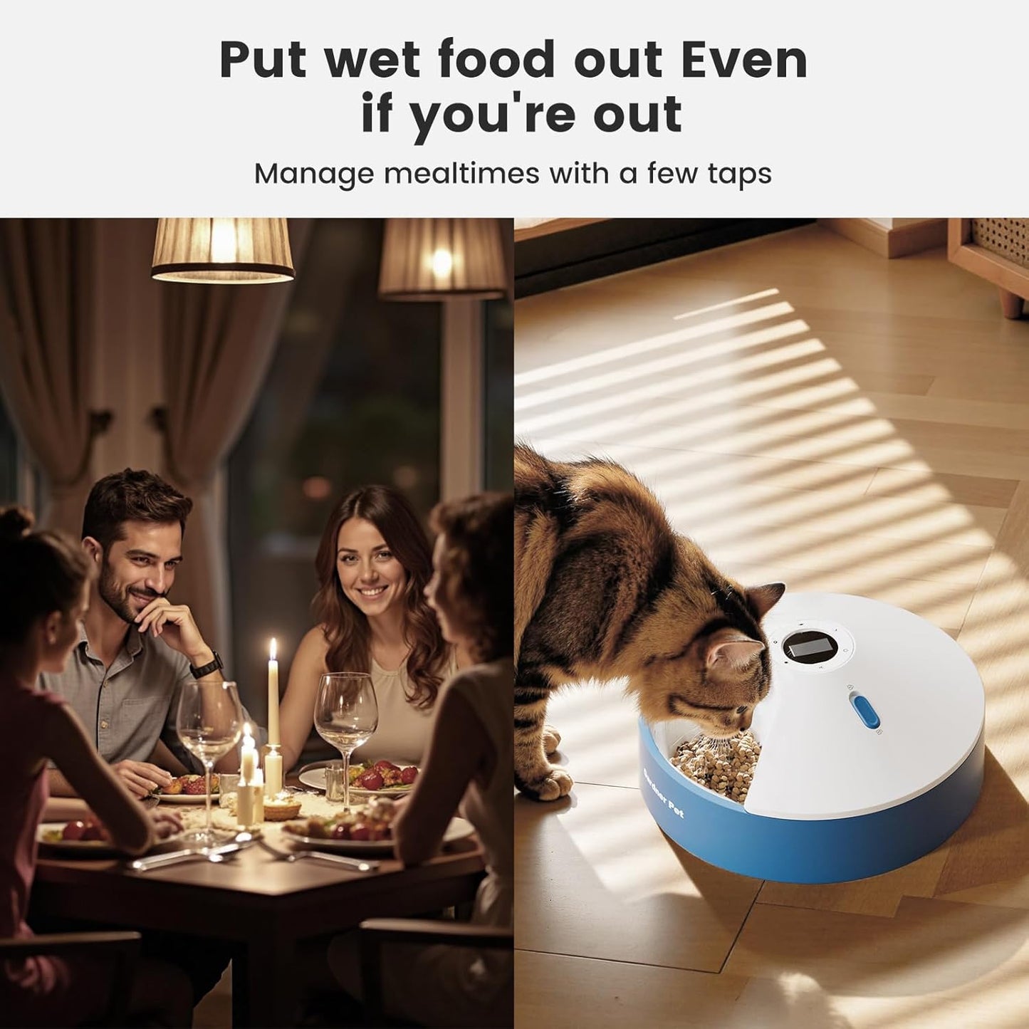 Automatic Cat Feeder for Wet Food with Ice Packs, 5 Meal Timed Dispenser with Voice Recorder