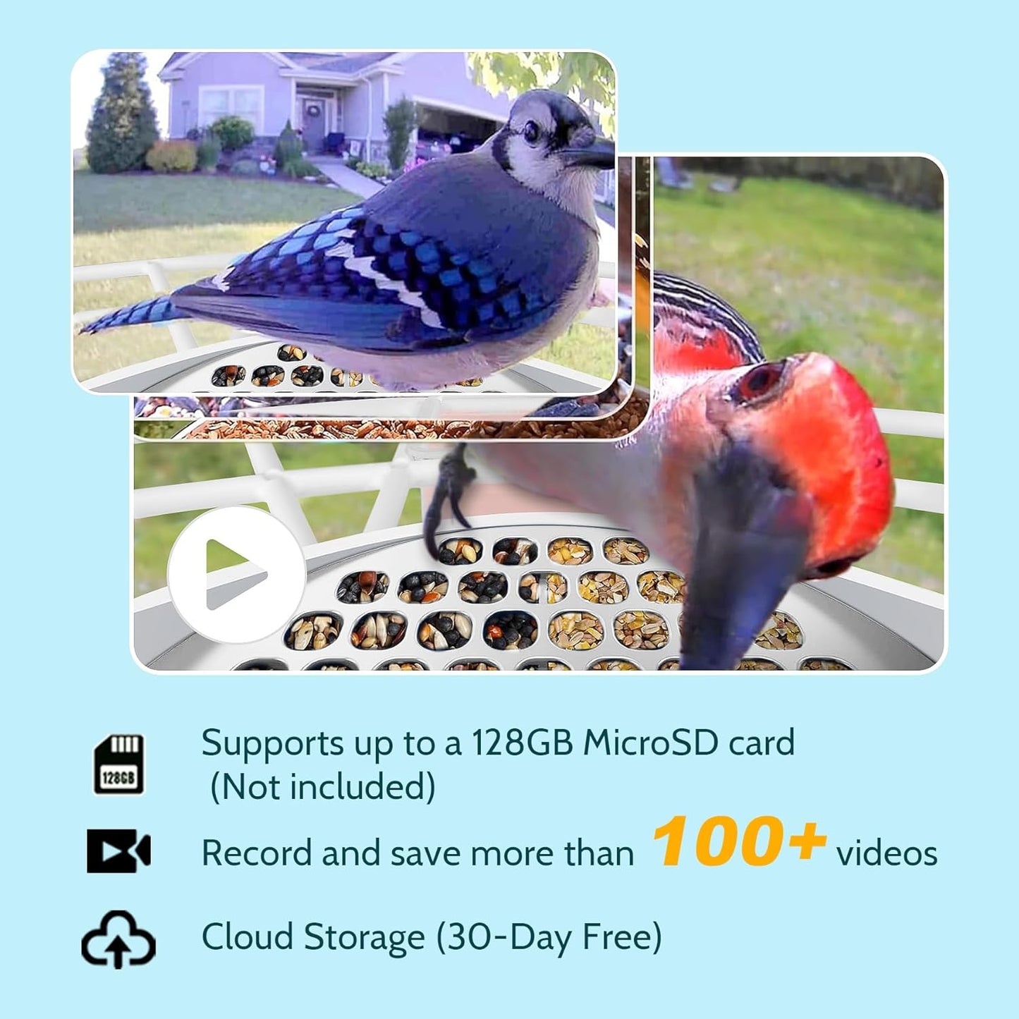 Smart Bird Feeder with AI Camera, Auto ID, HD Live Streaming, Mobile App Alerts, WiFi Enabled for Bird Lovers