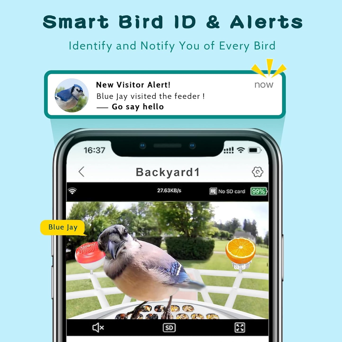 Smart Bird Feeder with AI Camera, Auto ID, HD Live Streaming, Mobile App Alerts, WiFi Enabled for Bird Lovers
