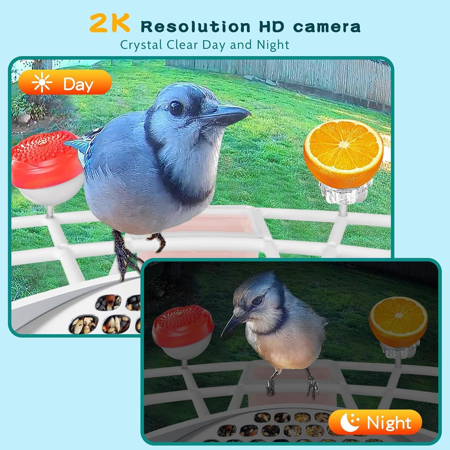 Smart Bird Feeder with AI Camera, Auto ID, HD Live Streaming, Mobile App Alerts, WiFi Enabled for Bird Lovers