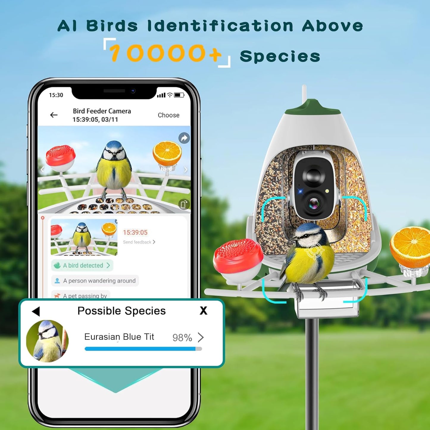 Smart Bird Feeder with AI Camera, Auto ID, HD Live Streaming, Mobile App Alerts, WiFi Enabled for Bird Lovers