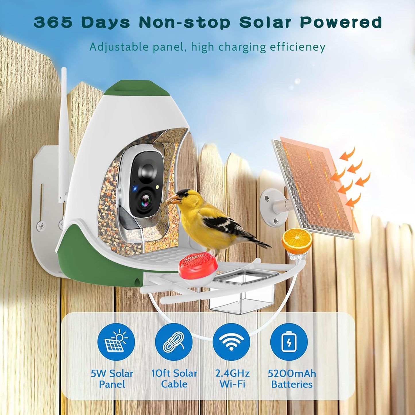 Smart Bird Feeder with AI Camera, Auto ID, HD Live Streaming, Mobile App Alerts, WiFi Enabled for Bird Lovers