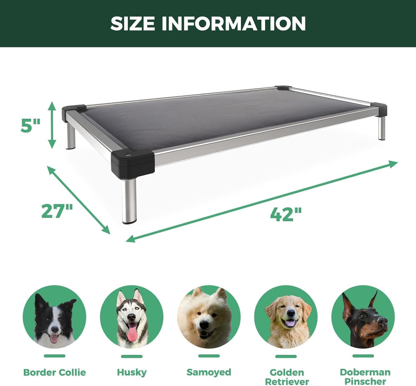 Padded Dog Bed, Chew-Proof Elevated Cot, Indoor/Outdoor, for Small and Medium Dogs, Grey, 42-Inch