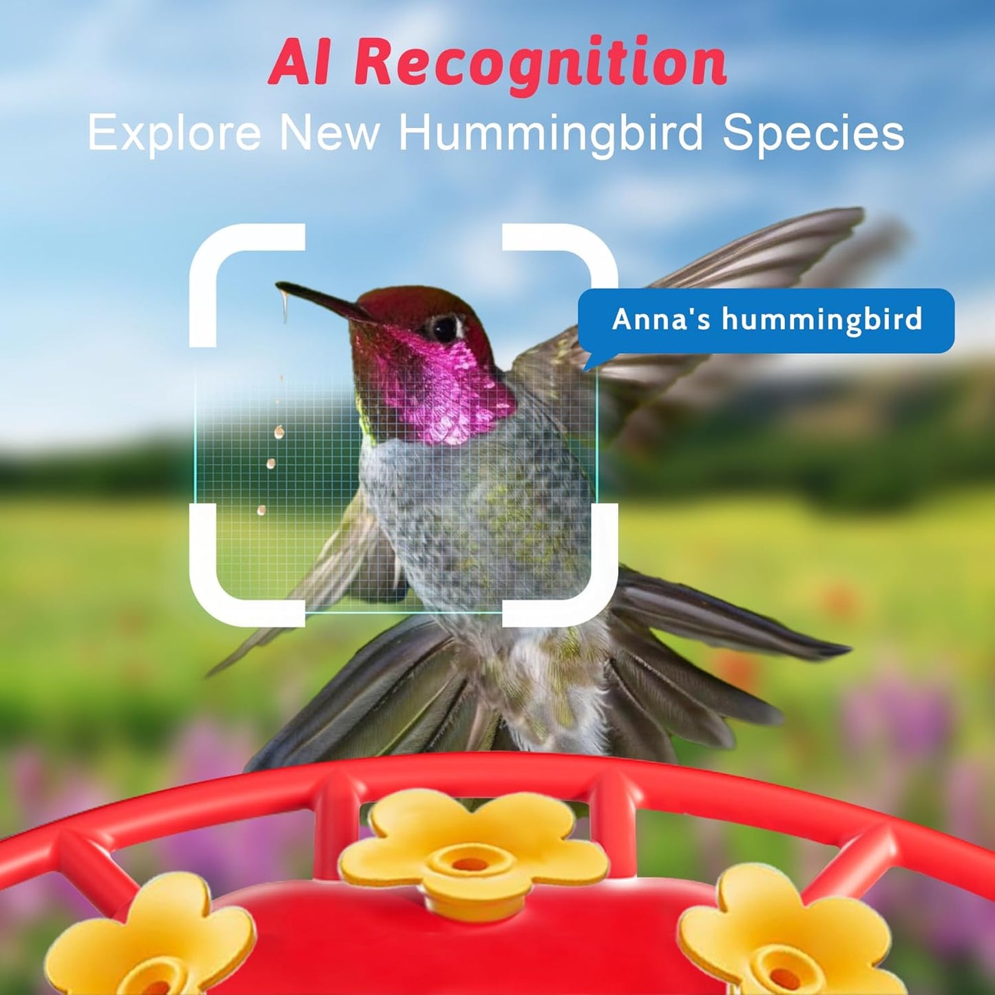 Hummingbird Feeder with Camera, Solar Powered, Anti-ant and Anti-bee Function, AI Bird Identification, Easy to Clean and Refill, Equipped with Bird