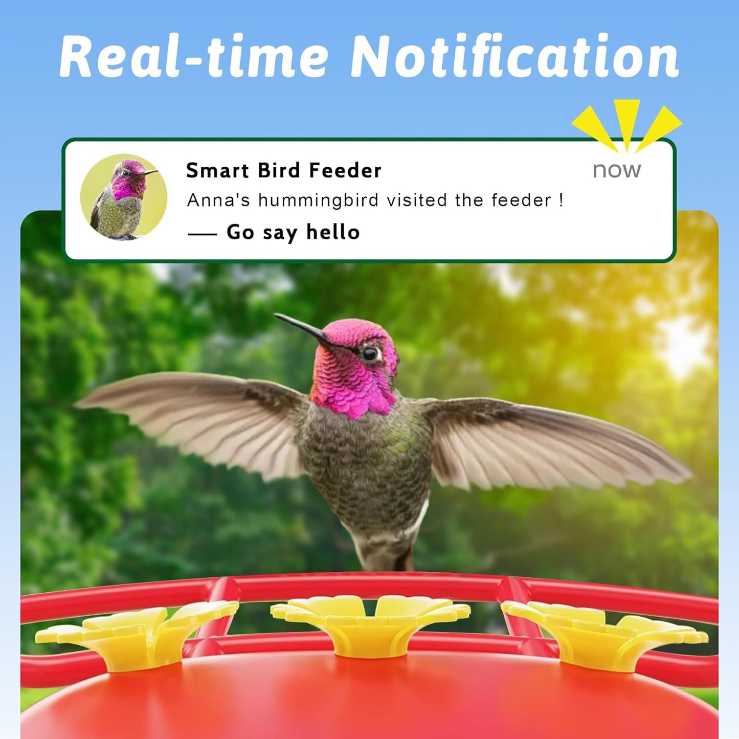Hummingbird Feeder with Camera, Solar Powered, Anti-ant and Anti-bee Function, AI Bird Identification, Easy to Clean and Refill, Equipped with Bird