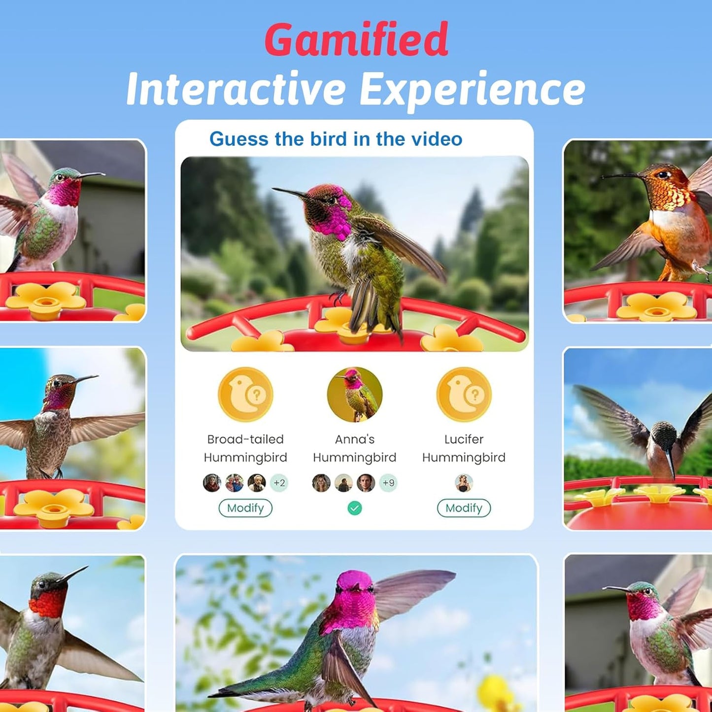 Hummingbird Feeder with Camera, Solar Powered, Anti-ant and Anti-bee Function, AI Bird Identification, Easy to Clean and Refill, Equipped with Bird