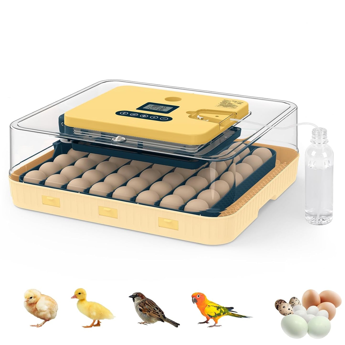Egg Incubator for Duck, Quail, Chicken, Automatic and Adjustable Turner, Candler, 56-Egg Capacity