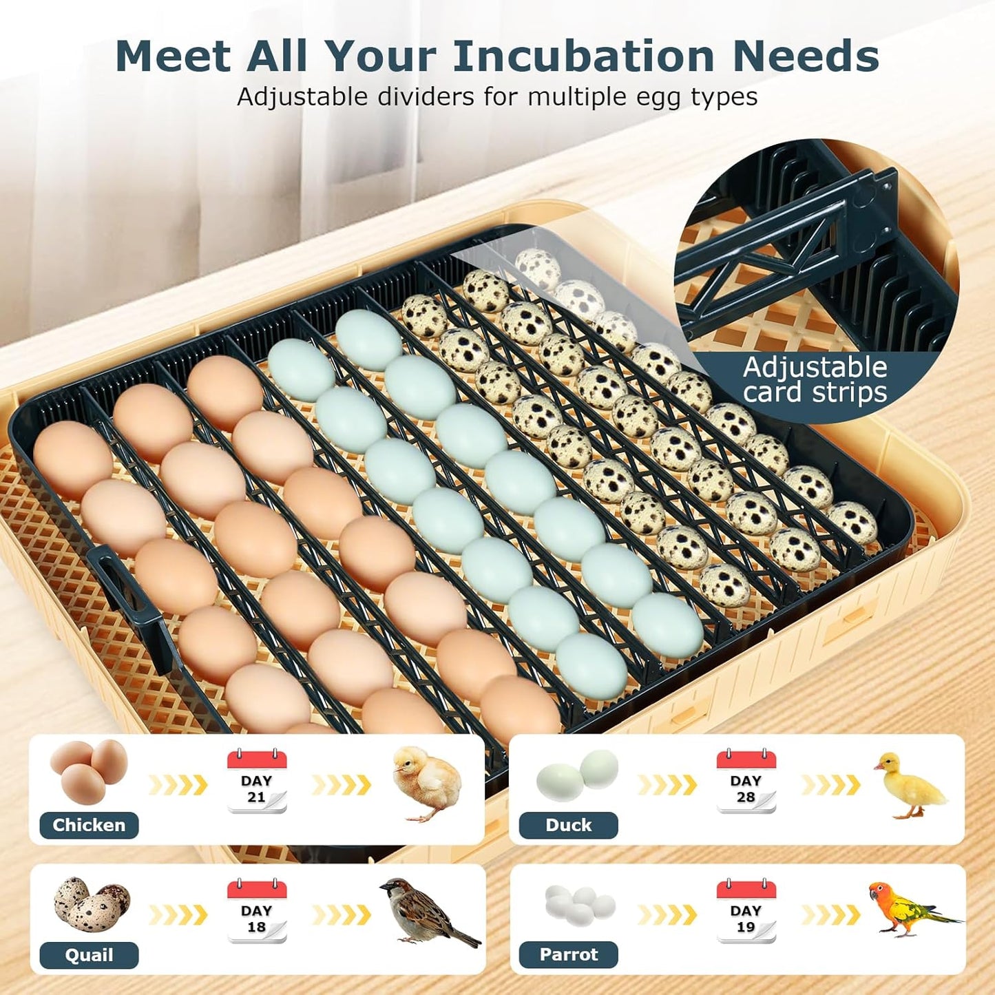 Egg Incubator for Duck, Quail, Chicken, Automatic and Adjustable Turner, Candler, 56-Egg Capacity
