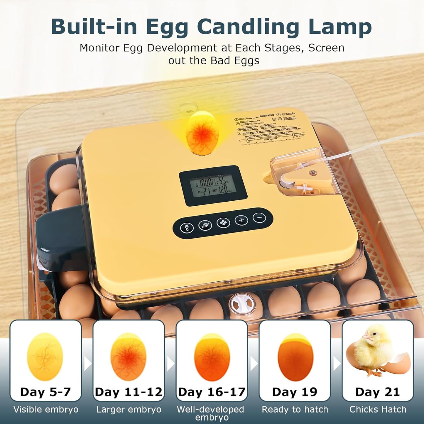 Egg Incubator for Duck, Quail, Chicken, Automatic and Adjustable Turner, Candler, 56-Egg Capacity