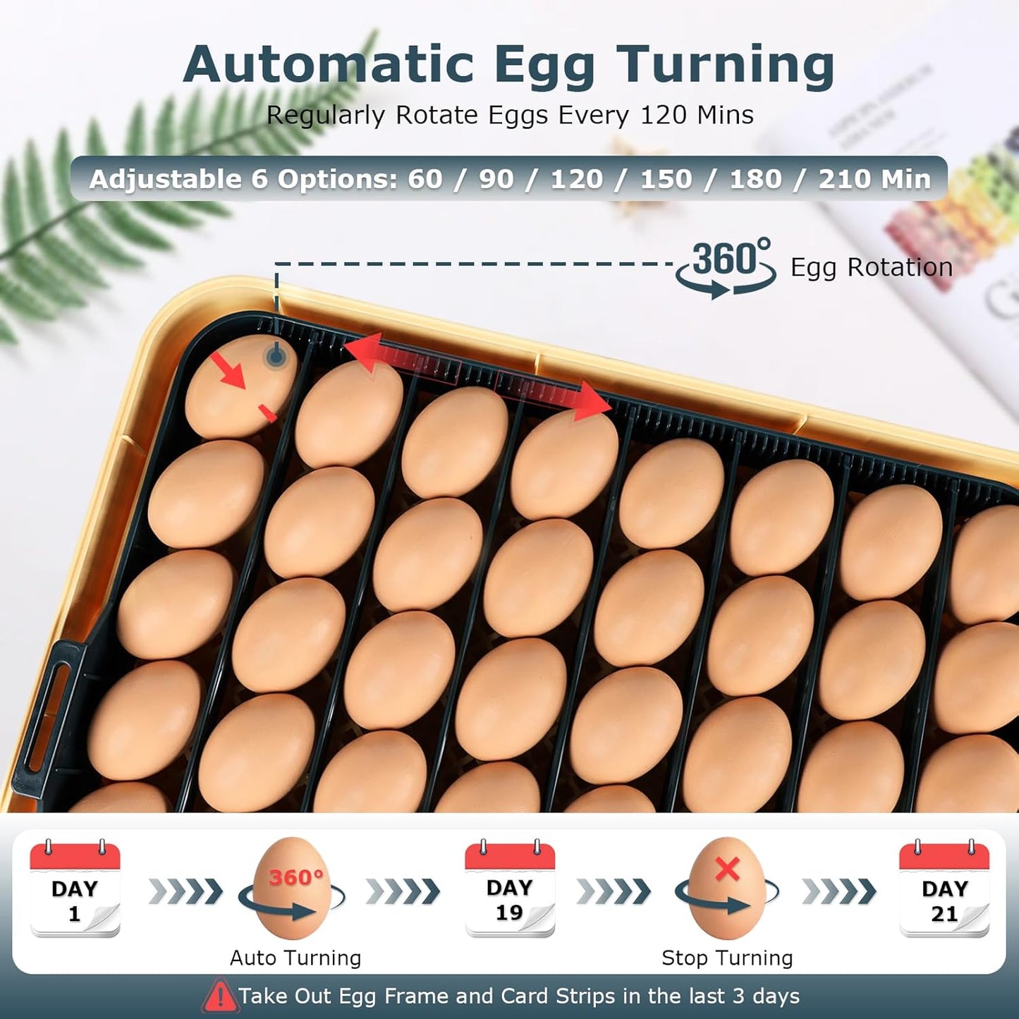 Egg Incubator for Duck, Quail, Chicken, Automatic and Adjustable Turner, Candler, 56-Egg Capacity