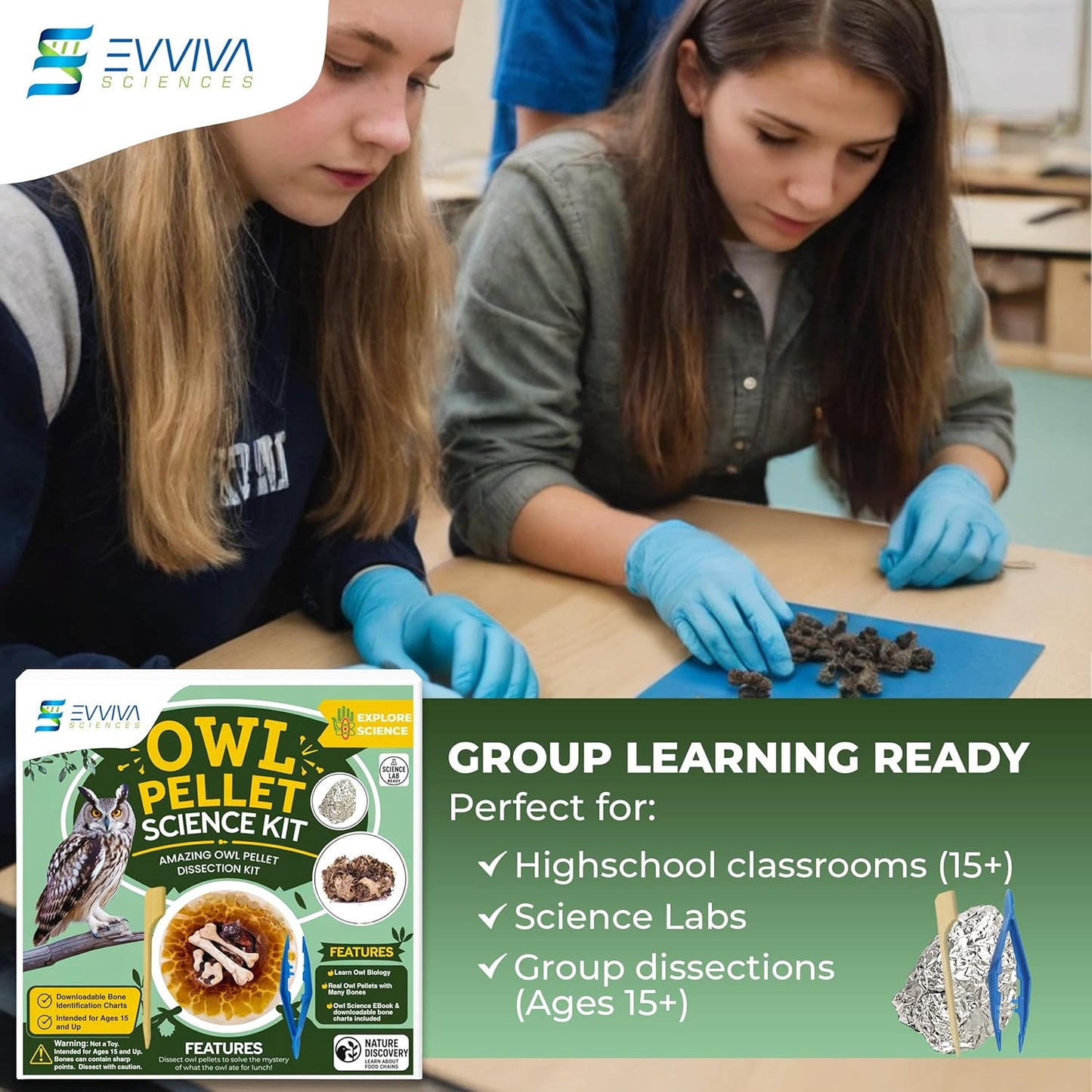 Owl Pellet Kit, Dissect 30 Mostly Small Real Owl Pellets w/Tools & PDF Bone Charts - Science Education Kit for 15+ -