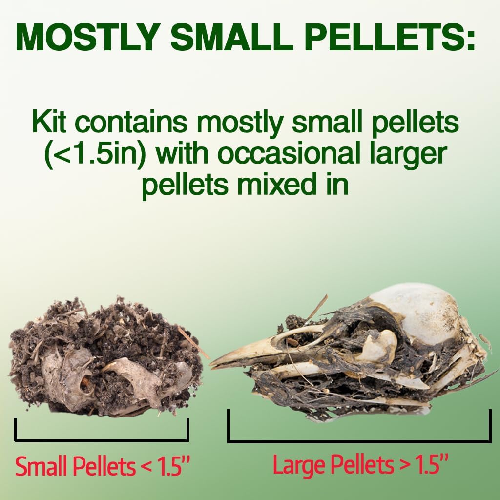 Owl Pellet Kit, Dissect 30 Mostly Small Real Owl Pellets w/Tools & PDF Bone Charts - Science Education Kit for 15+ -
