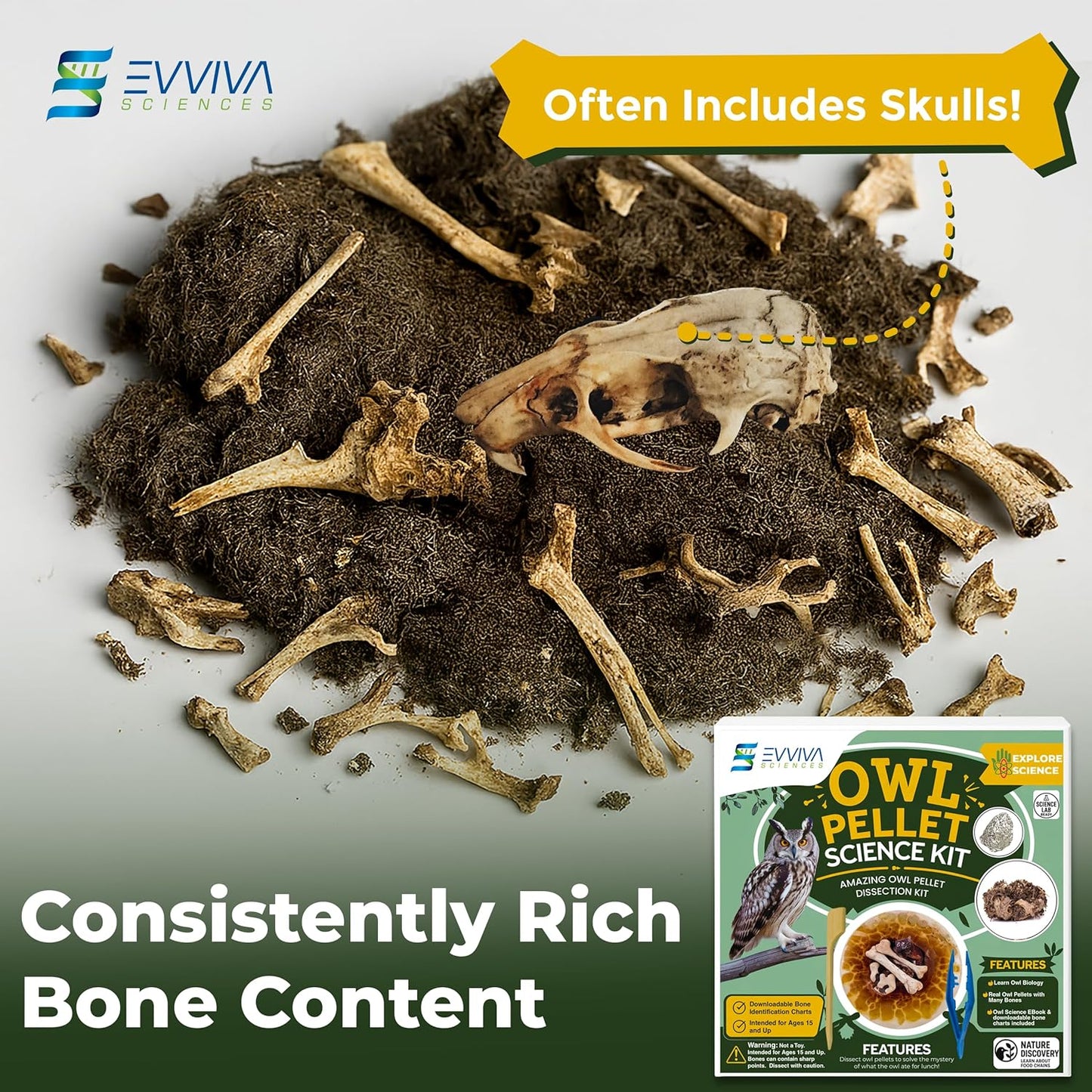 Owl Pellet Kit, Dissect 30 Mostly Small Real Owl Pellets w/Tools & PDF Bone Charts - Science Education Kit for 15+ -