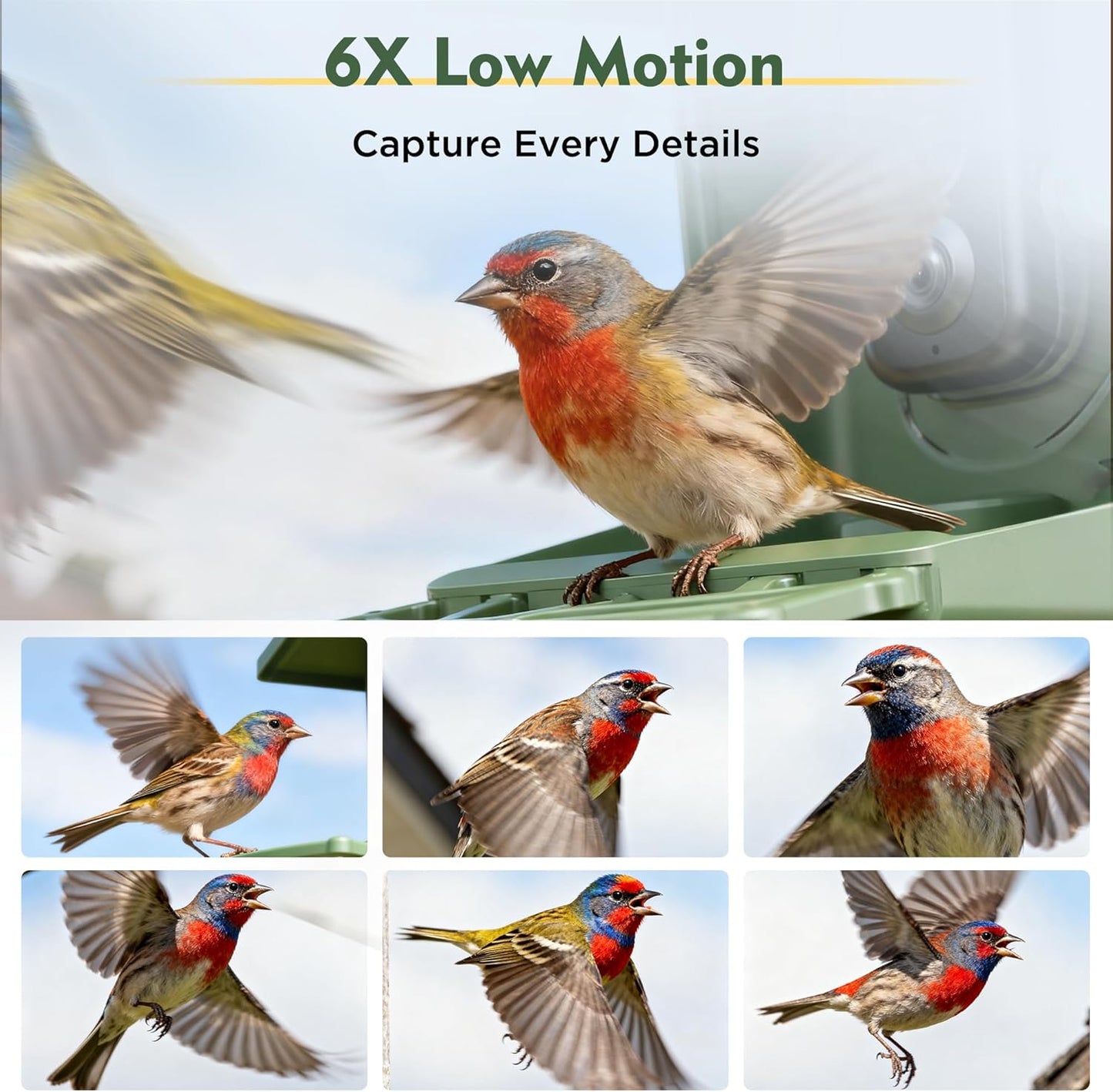 4K HD Smart Bird Feeder with Camera Solar Powered, Auto Capture Bird Video, Real-time Notifications & Live Streaming