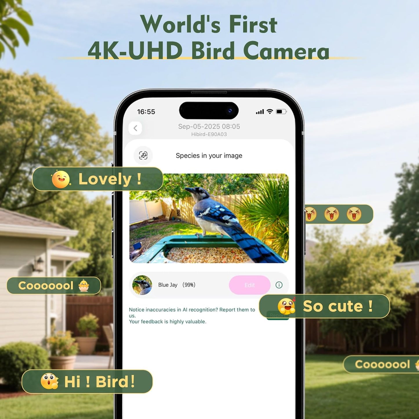 4K HD Smart Bird Feeder with Camera Solar Powered, Auto Capture Bird Video, Real-time Notifications & Live Streaming