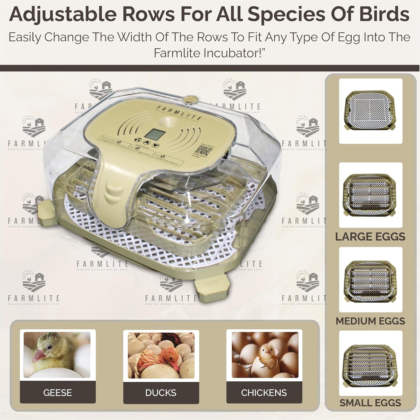 Incubator for Hatching