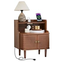 Metal Rattan End Table with Charging Station, Mid Century Modern Nightstand with 2 Doors, Bed Side Table with Storage for Couch,Living Room,Small Spaces, Sofa Side Table for Office,Dorm - Walnut Door Walnut 1