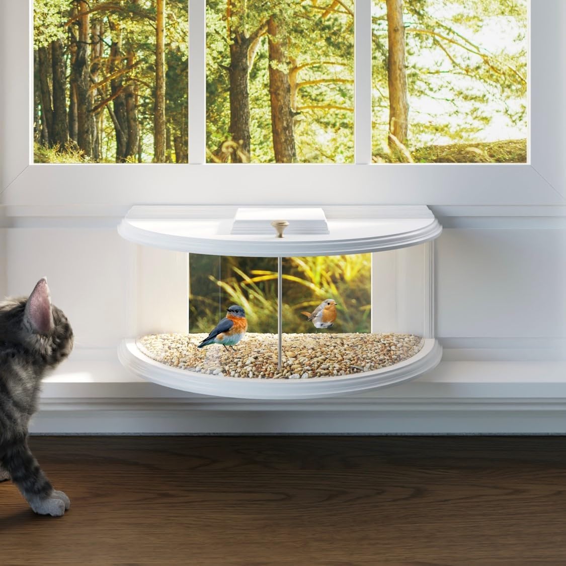 Indoor Window Bird Feeder Inside House for See Through Viewing with Sealing Foam Tape, 24 to 32 Inch Windows