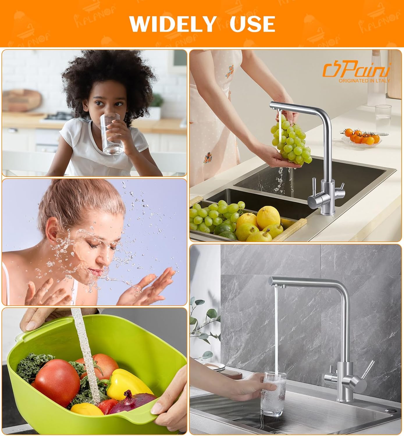 Drinking Water Faucet for Kitchen Sink, PAINI Kitchen Faucet and Water Filter Faucet Combo Brushed Nickel (Without Filtration Device)