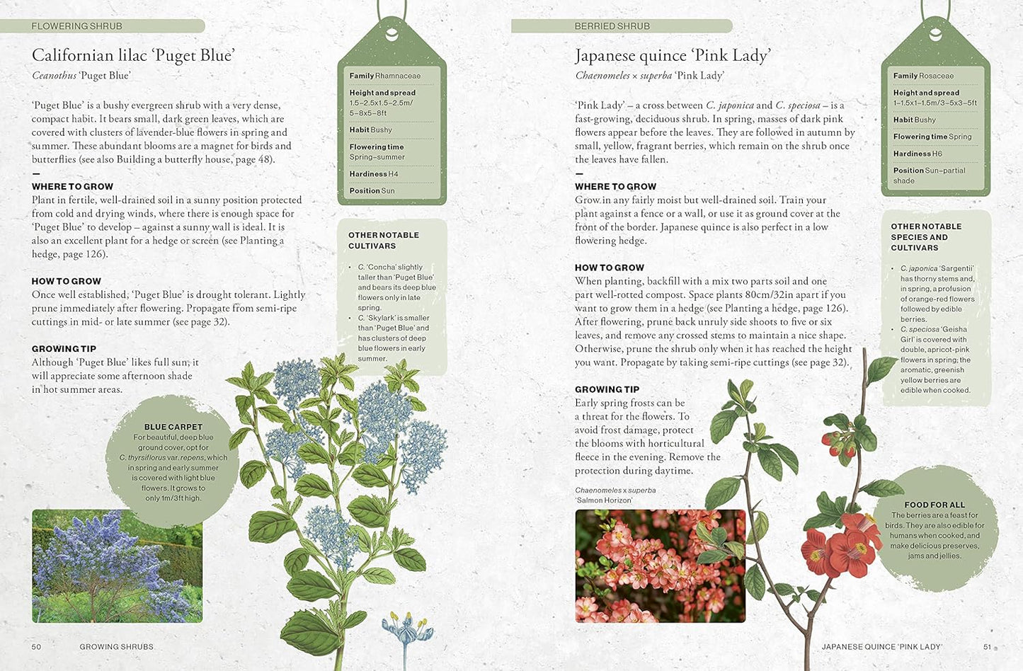 The Kew Gardener's Guide to Growing Shrubs: The Art and Science to Grow with Confidence