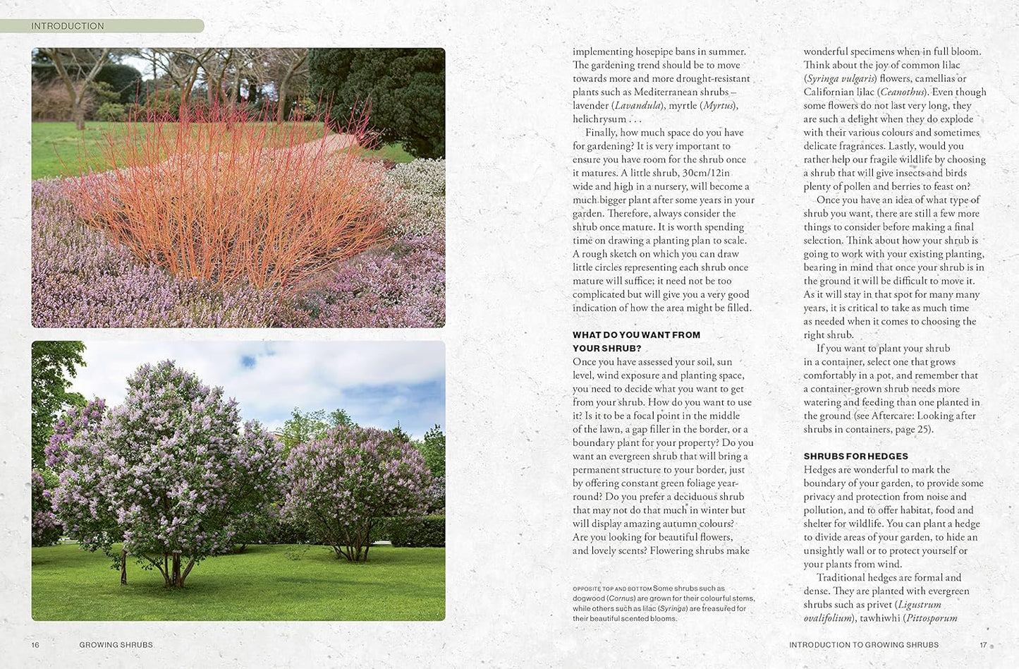 The Kew Gardener's Guide to Growing Shrubs: The Art and Science to Grow with Confidence