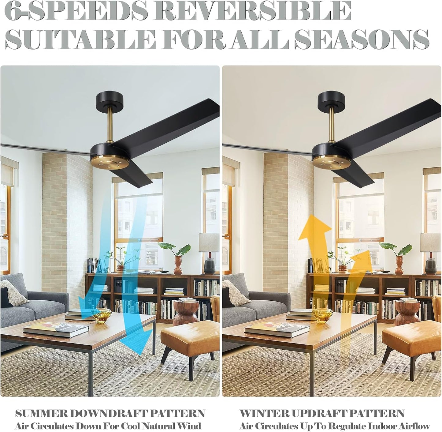 LEEAGLEGRY 52" Ceiling Fan with no Light,3 Blades/6-speed/Timer/Quiet DC Motor,Indoor/Outdoor for Bedroom,Living Room,Kitchen,Outdoor,Patio,Porch,Black and Gold