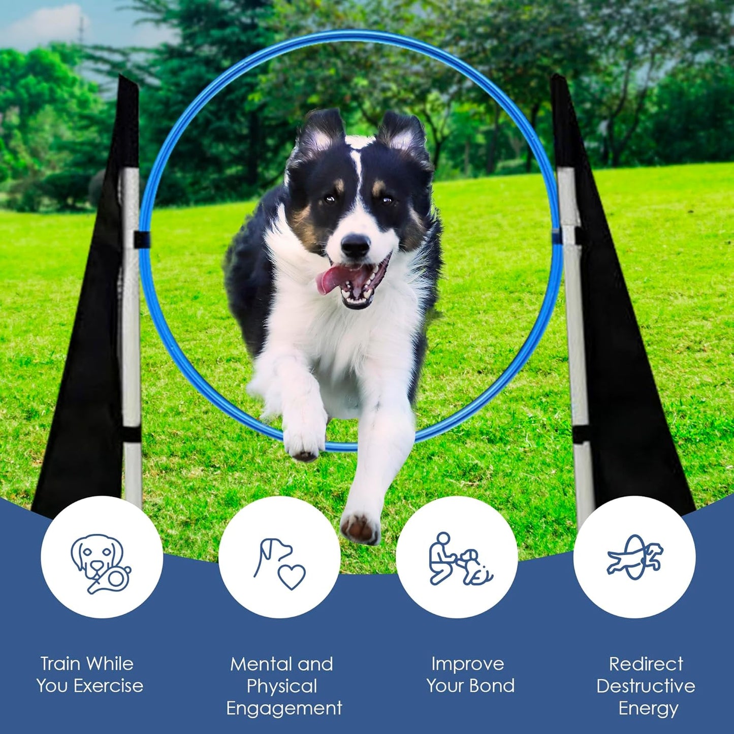 Dog Agility Training Set, Obstacle Course Training and Exercise Equipment, w/Play Tunnel Weave Poles Jumps Ect.
