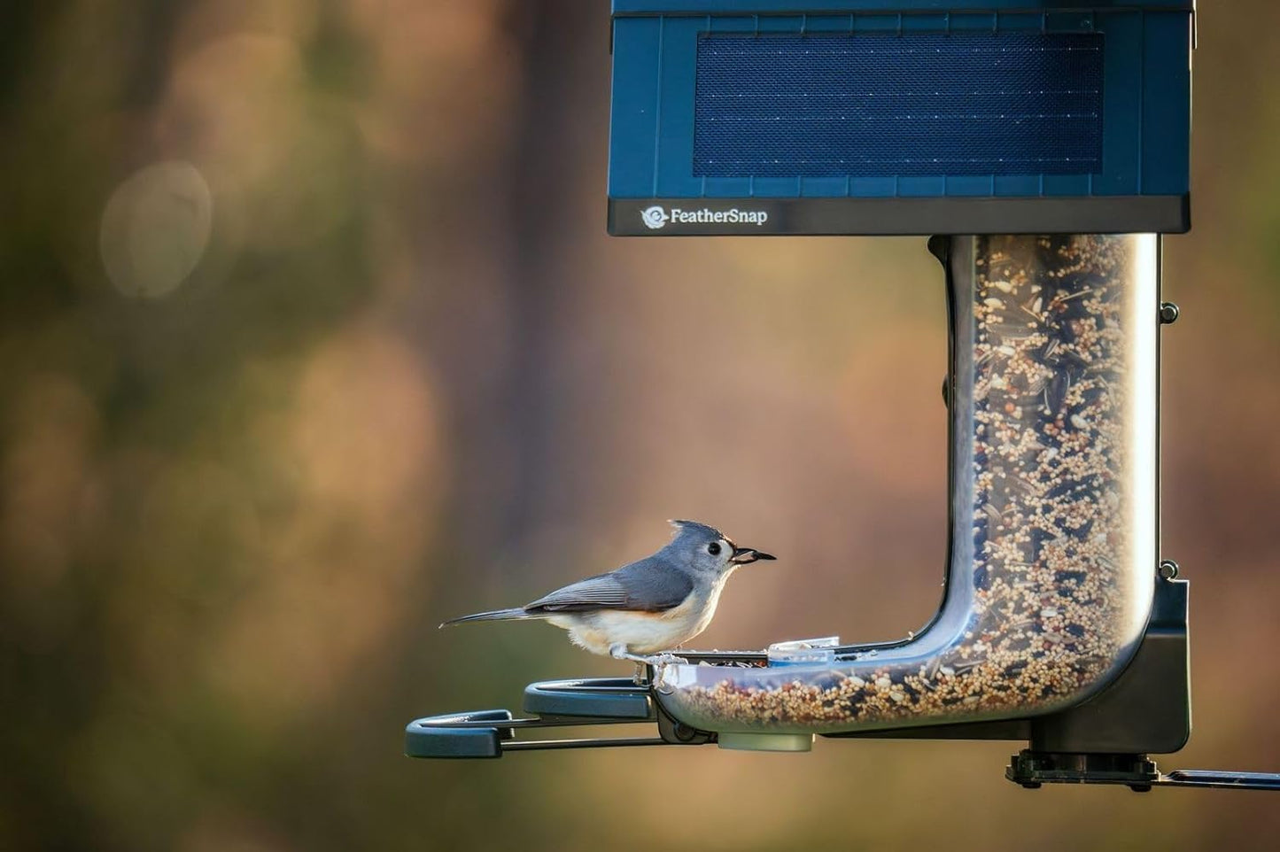 Smart Birdfeeder with AI Identification and Wi-Fi Solar Powered, Captures HD Pictures and Videos Sent Directly