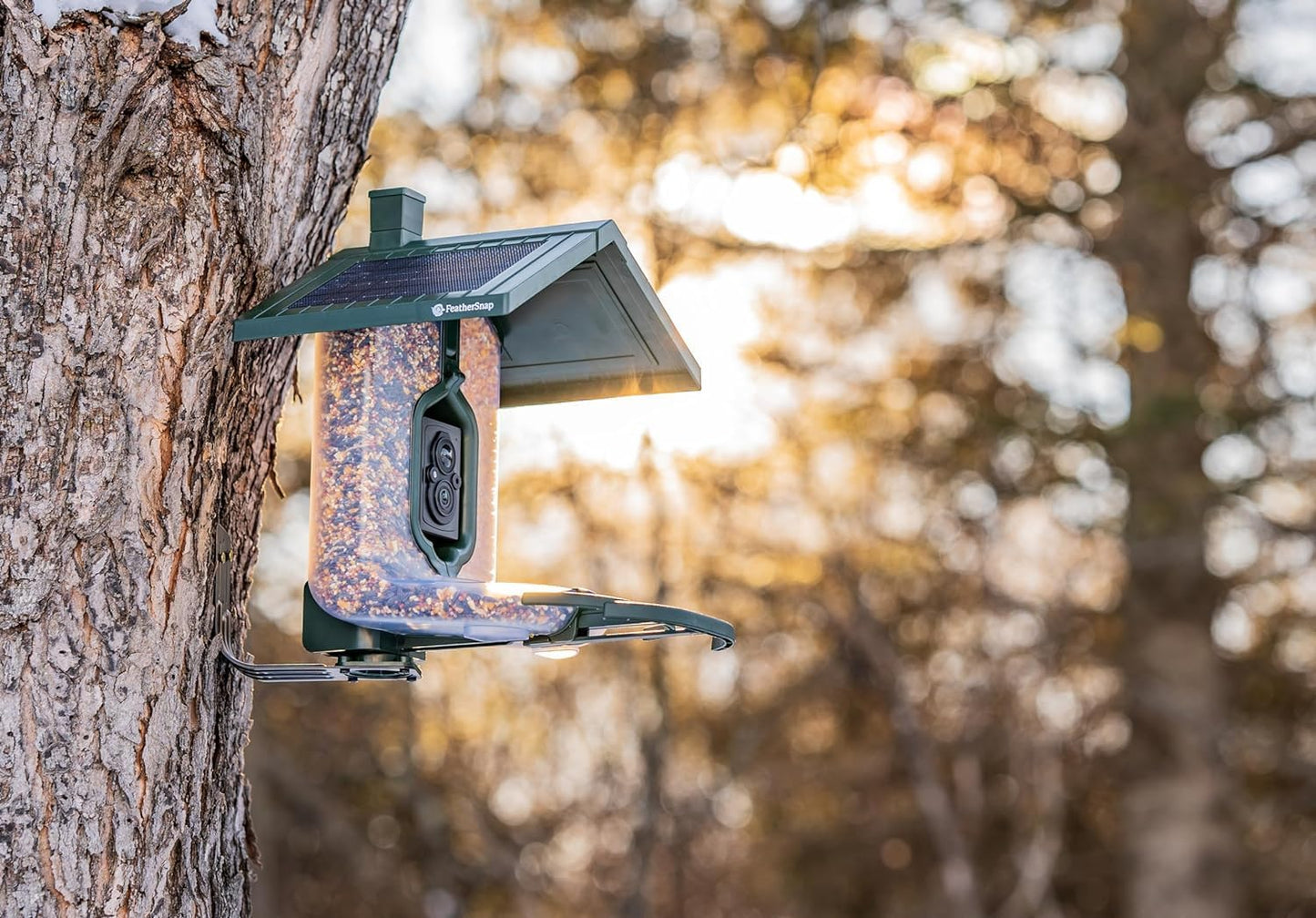Smart Birdfeeder with AI Identification and Wi-Fi Solar Powered, Captures HD Pictures and Videos Sent Directly