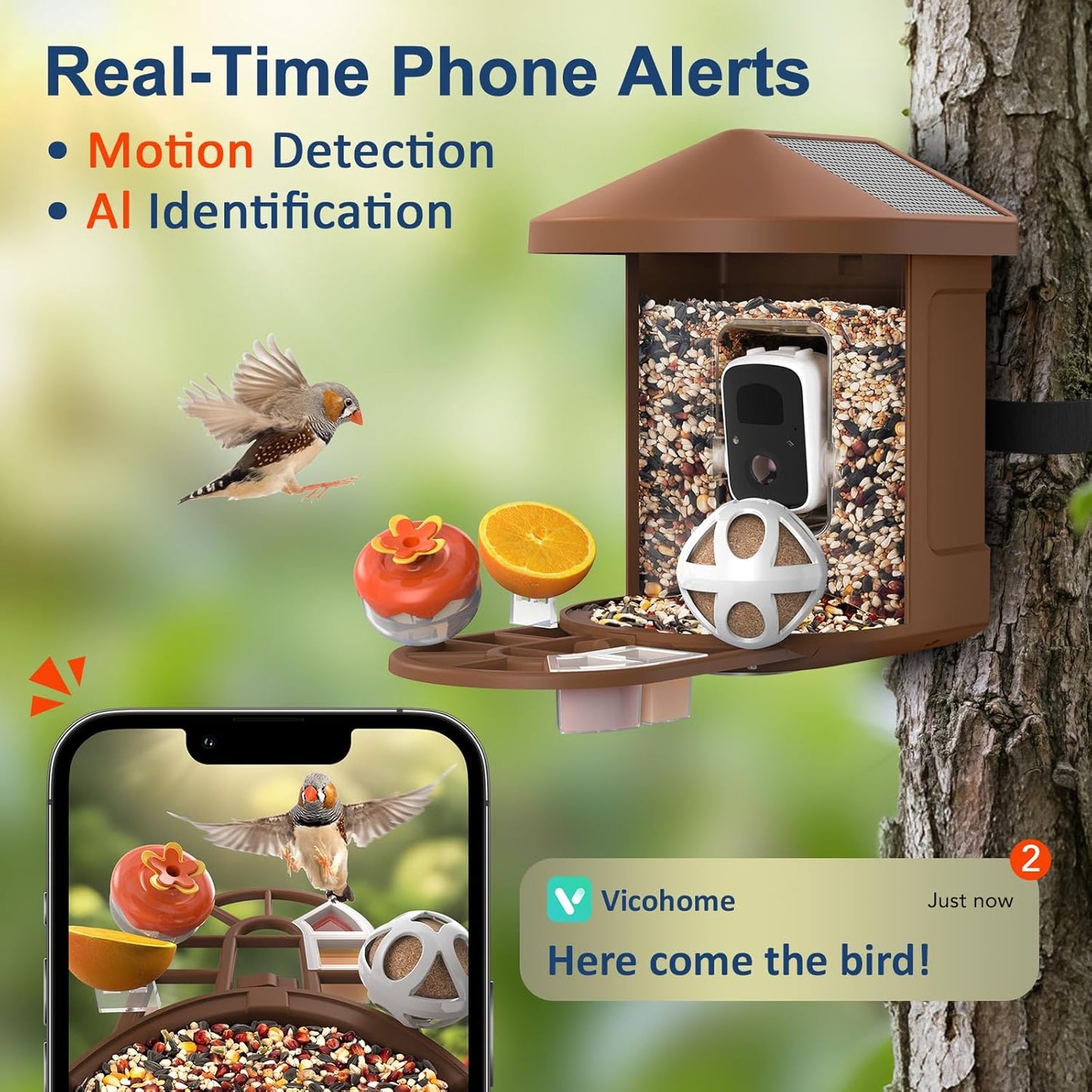 Smart Bird Feeder with Camera, 2K Ultra HD Live Stream, AI Bird ID for 10,000+ Species, 3 Solar Powered, IP65