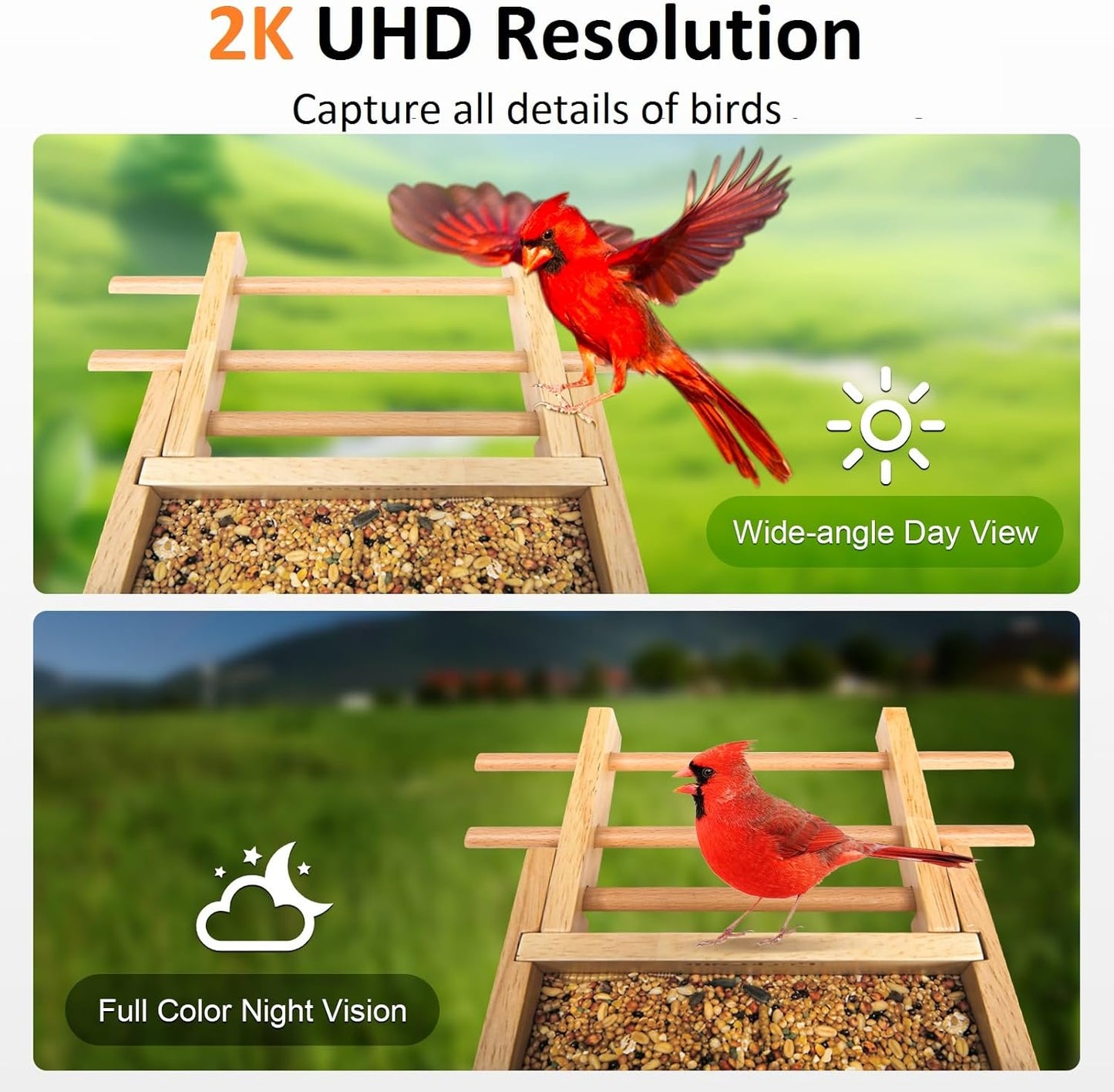 Smart Bird Feeder with Camera 2K HD Auto Detect, Notify AI Identify 10000+ Birds Camera Solar Powered 2.4G Wireless