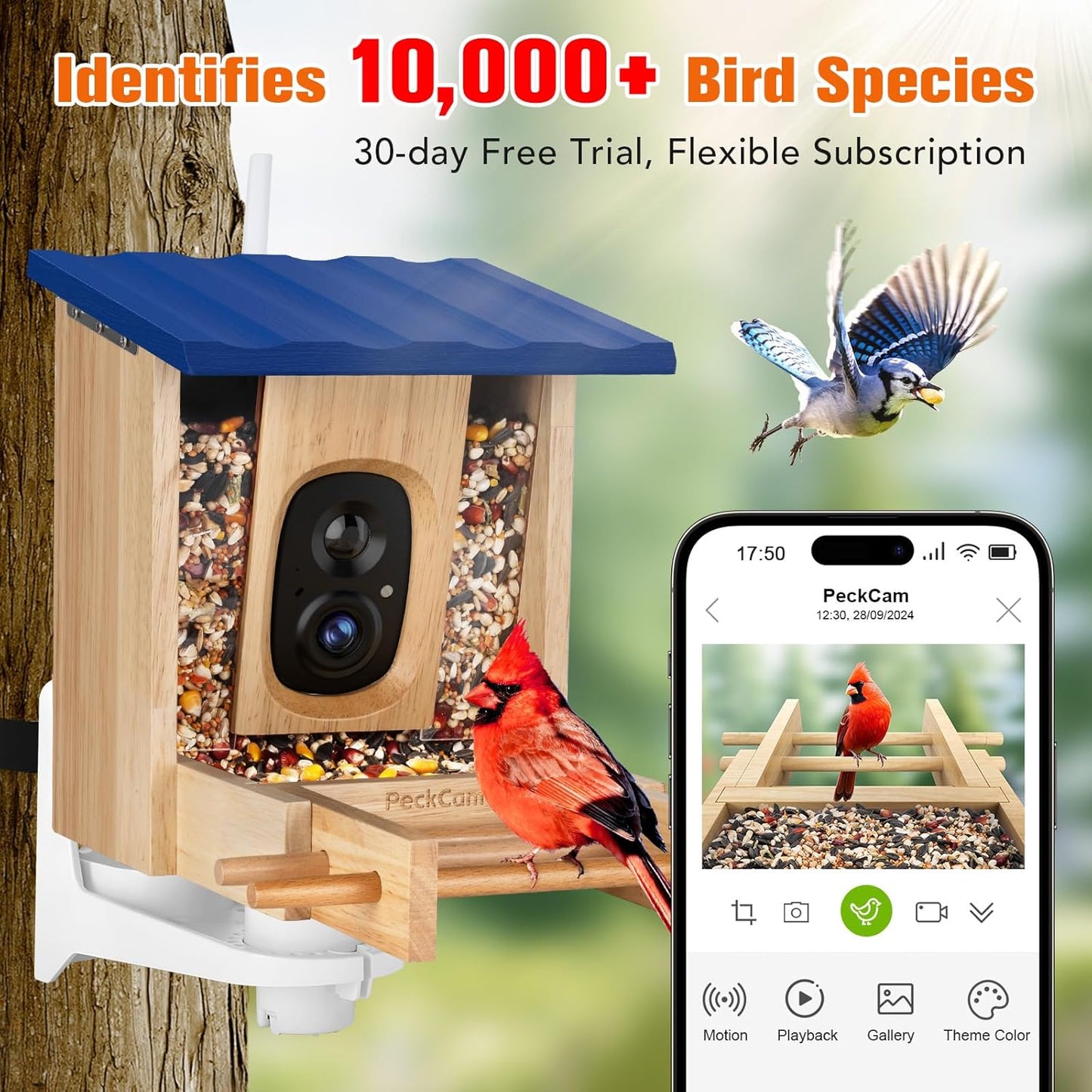 Smart Bird Feeder with Camera 2K HD Auto Detect, Notify AI Identify 10000+ Birds Camera Solar Powered 2.4G Wireless