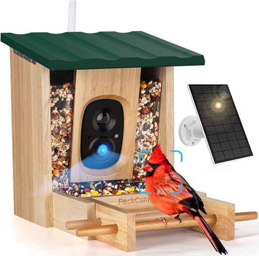 Smart Bird Feeder with Camera 2K HD Auto Detect, Notify AI Identify 10000+, Solar Powered 2.4G Wireless