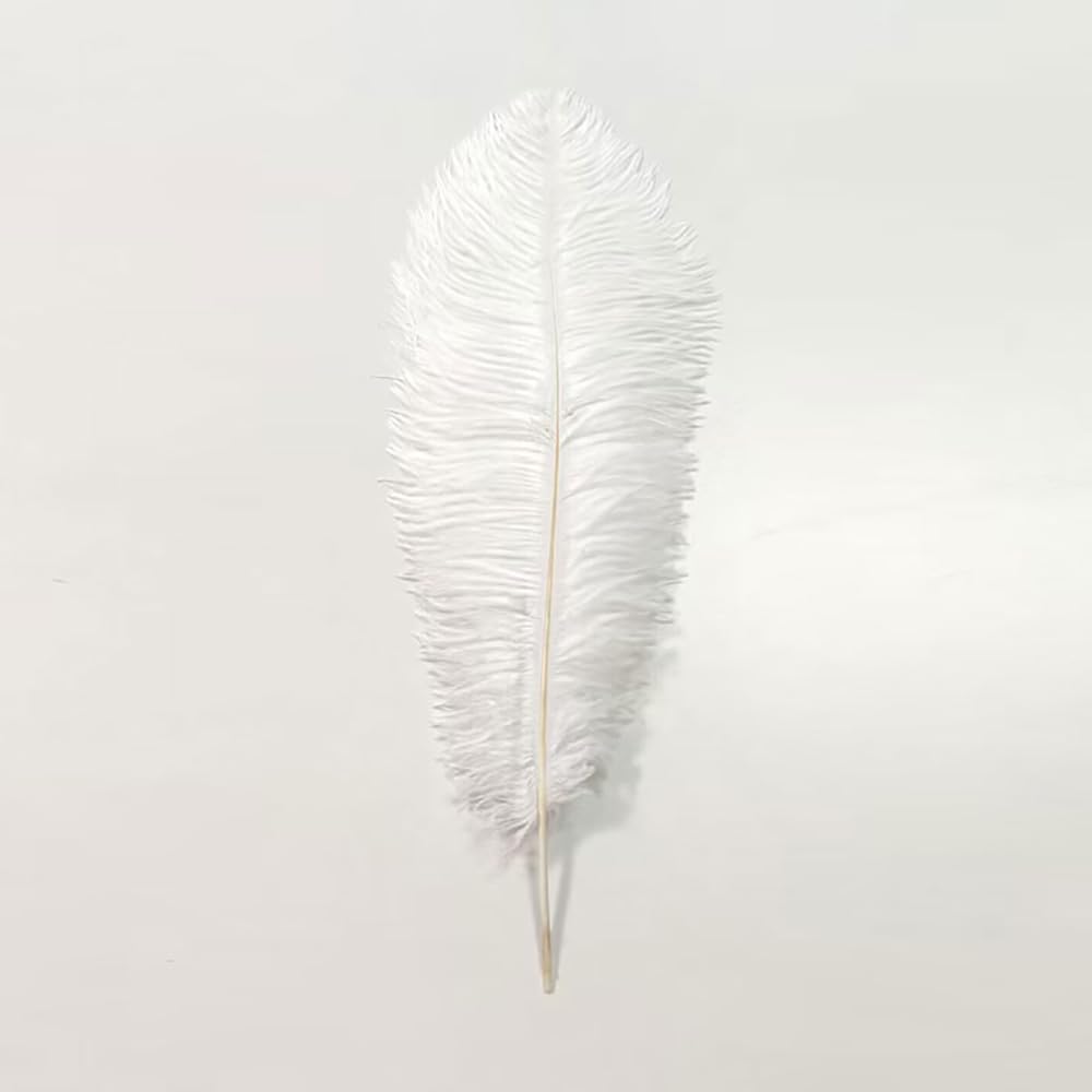 Ostrich Feather Table Lamp with Plug in Wire for Living Room Sofa Bedside Standing Reading Lamp