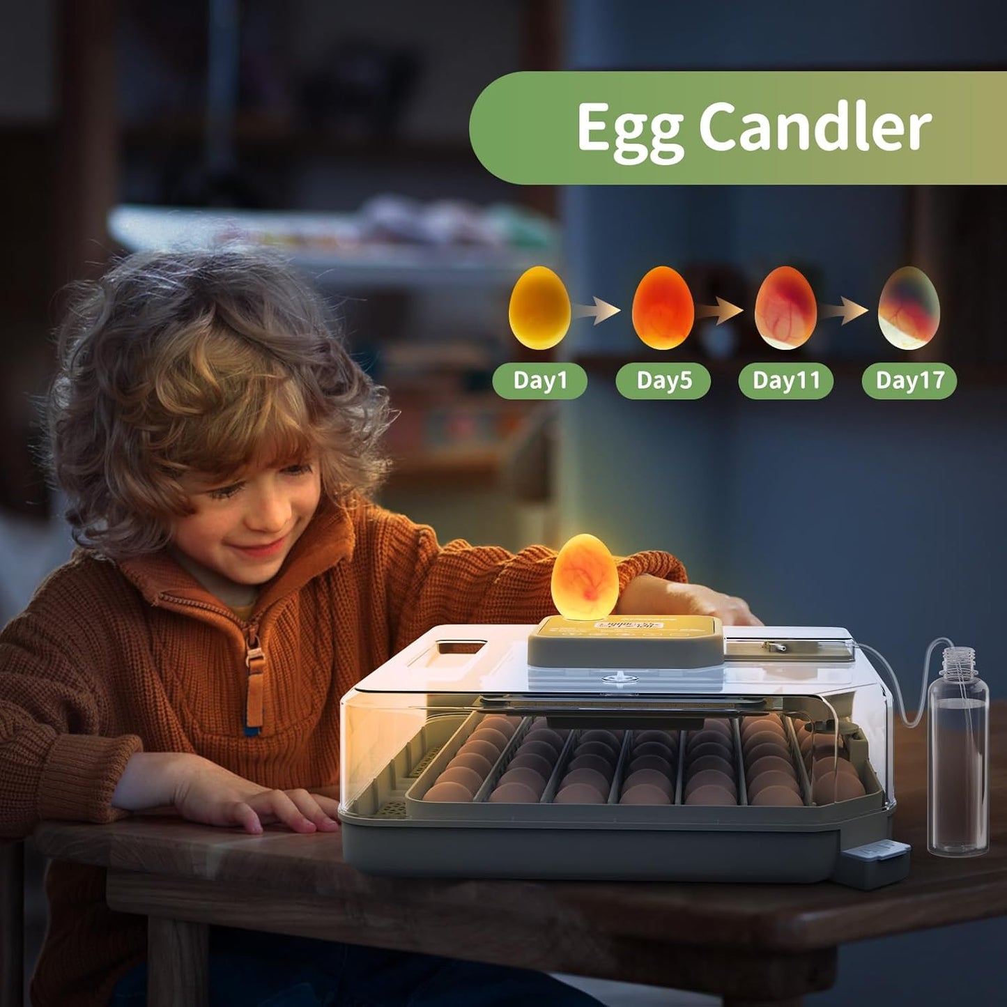 Egg Incubators for Hatching Eggs with Automatic Egg Turning and Humidity Control, Max 48 Eggs