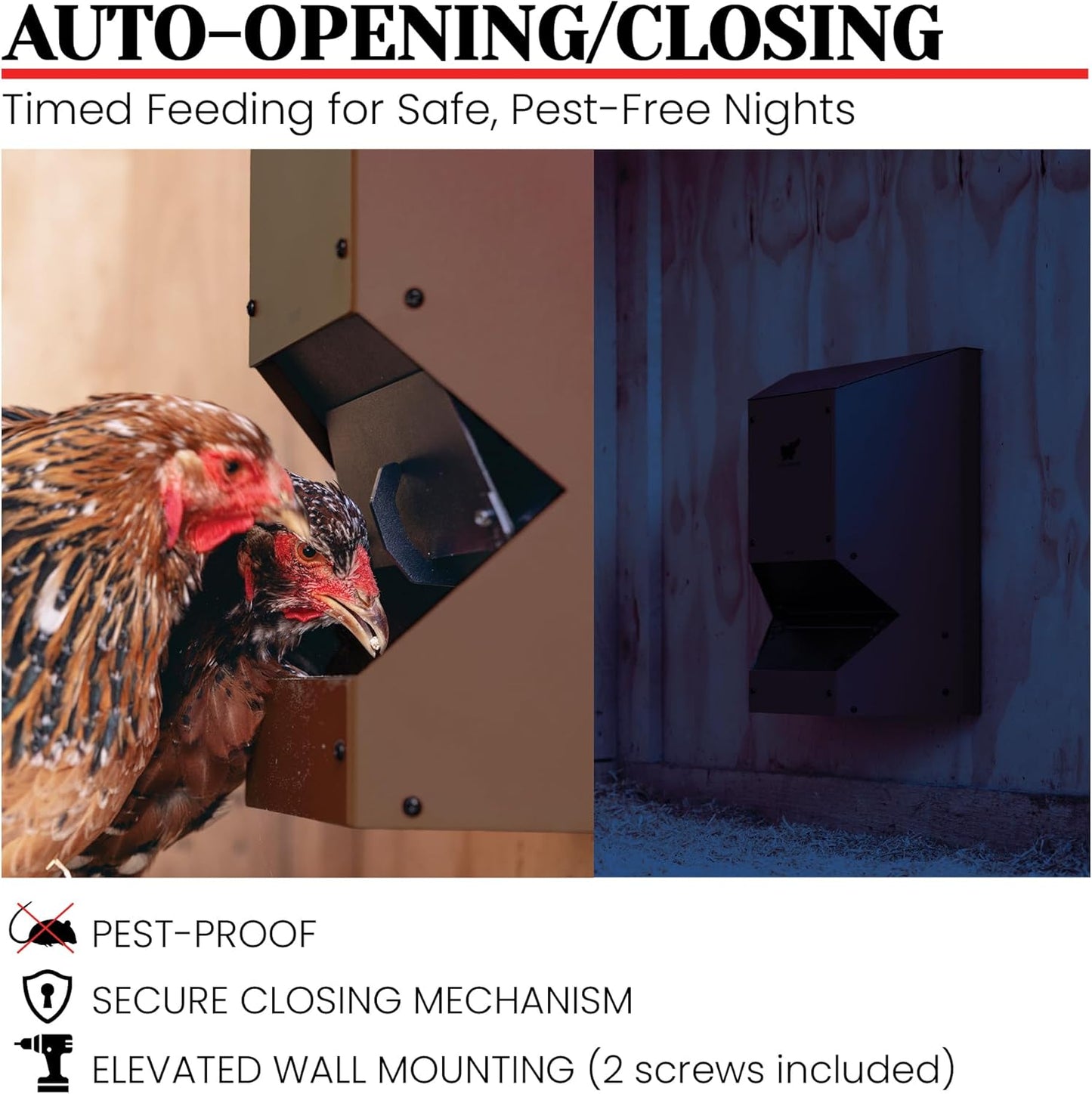 Automatic Chicken Feeder, Battery Operated, Programmable,  Pest Proof, Brown