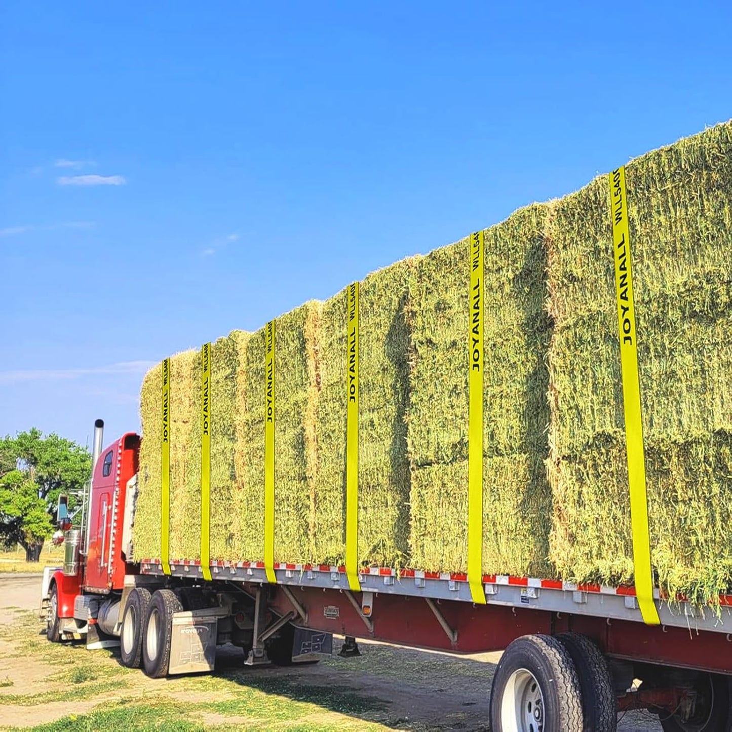 Truck Straps, 4' x30' Heavy Duty Tie Down w/Flat Hooks, 5400lbs, Winch Cargo Straps tie Down for Flatbeds