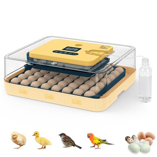 Egg Incubator for Duck, Quail, Chicken, Automatic and Adjustable Turner, Candler, 56-Egg Capacity