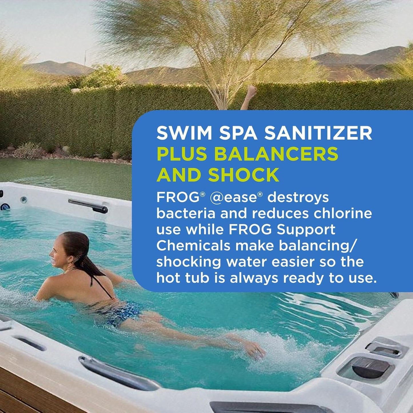 Floating System and Balancing Starter Kit for Swim Spas with 2 Packs of FROG Maintain, Self-Regulating Sanitizer
