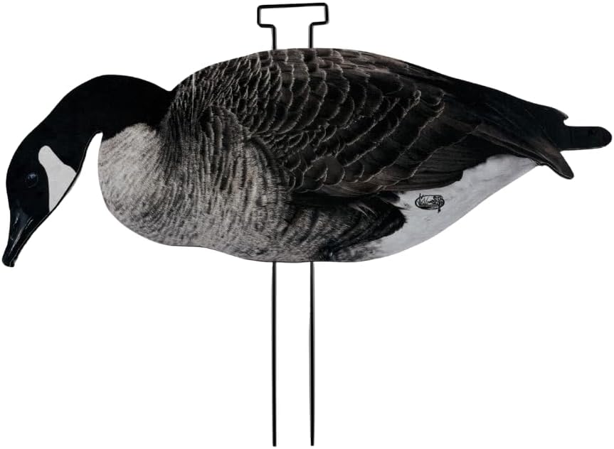 12 Pack Fully Flocked Canada Goose Hunting Decoys with 3 Realistic Poses, Pro-Flocked Silhouette