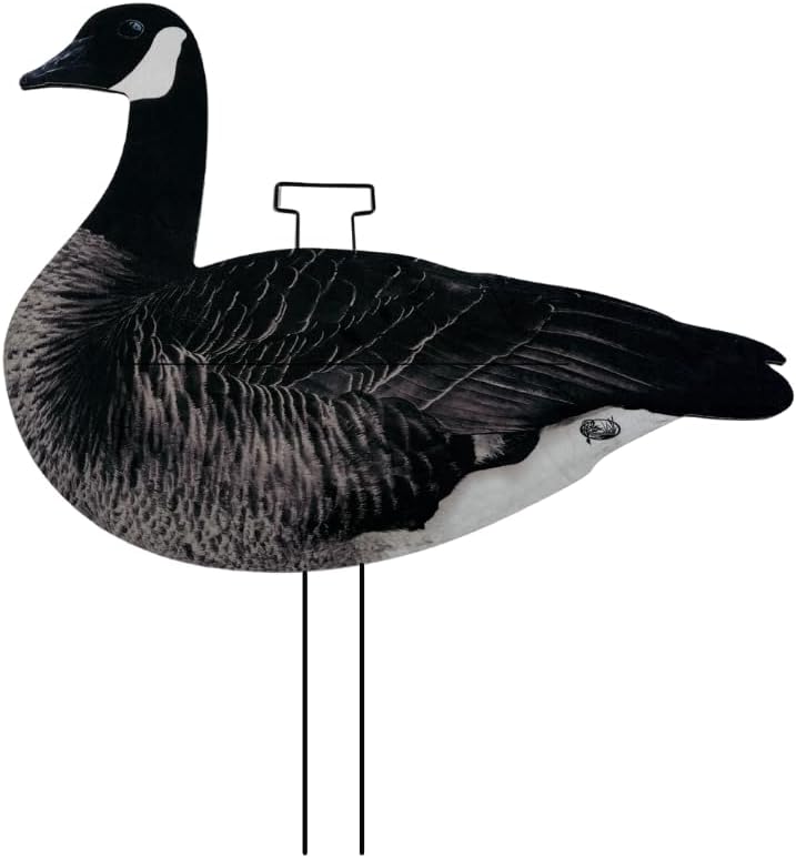 12 Pack Fully Flocked Canada Goose Hunting Decoys with 3 Realistic Poses, Pro-Flocked Silhouette