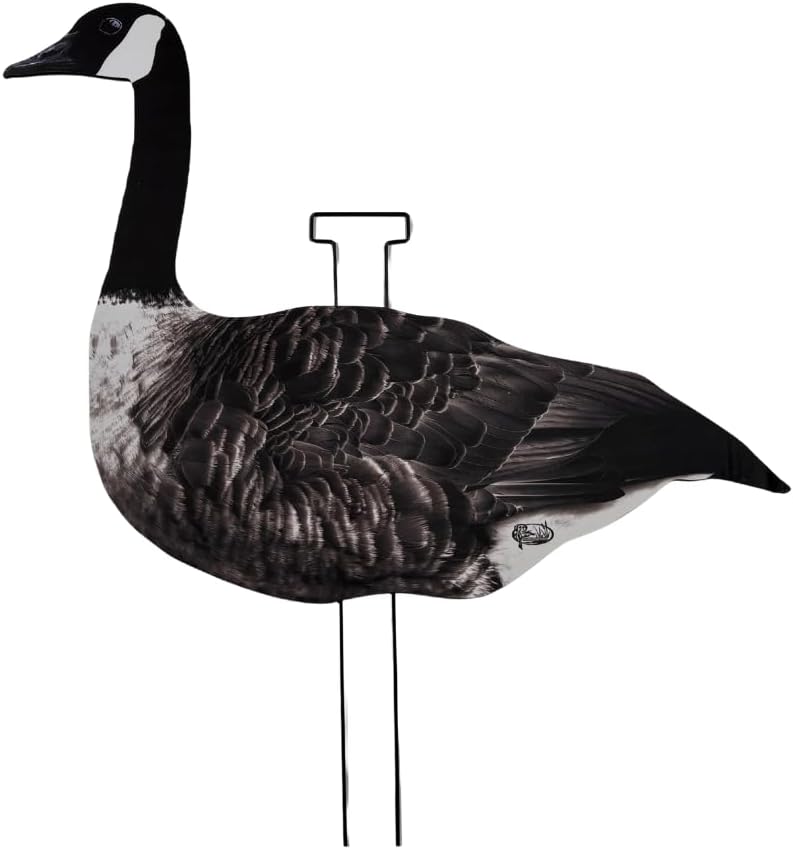 12 Pack Fully Flocked Canada Goose Hunting Decoys with 3 Realistic Poses, Pro-Flocked Silhouette